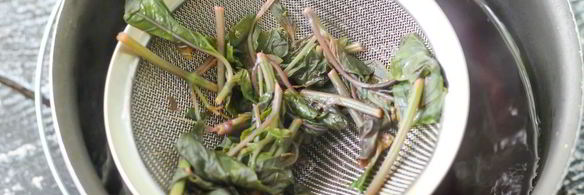 напиток из базилика