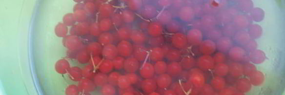 напиток из калины с мятой и медом