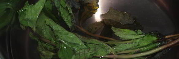 напиток из калины с мятой и медом