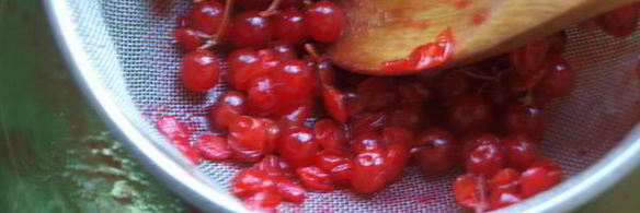 напиток из калины с мятой и медом