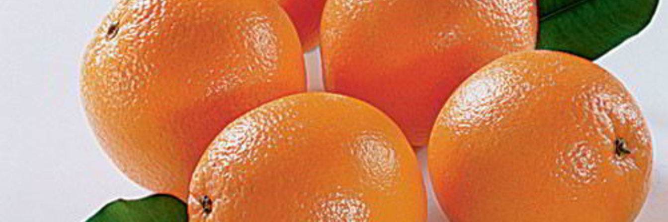 Напиток морковно-апельсиновый