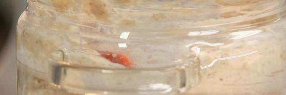 ризотто из овсянки с грибами и овсяный смузи с грушей