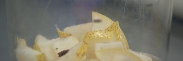 ризотто из овсянки с грибами и овсяный смузи с грушей