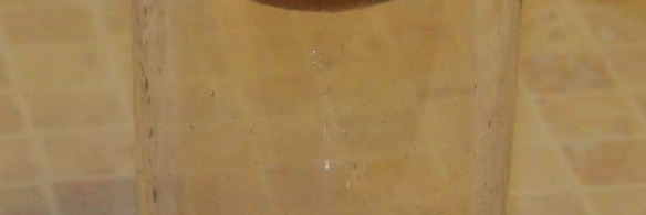 солнечный смузи с тыквой и облепихой