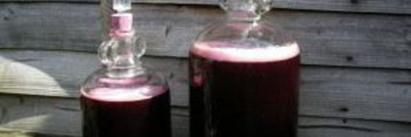 вино из черной смородины без дрожжей