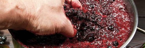 вино из черноплодной рябины