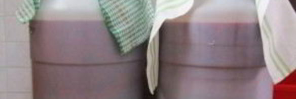 вино из вишни без дрожжей