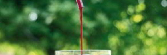 вино из вишни без дрожжей