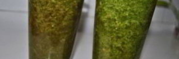 зеленый коктейль со свеклой