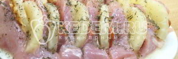 индейка под шубой