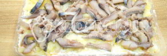 салат заливная селедка под шубой