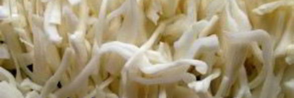 салат венецианская серенада