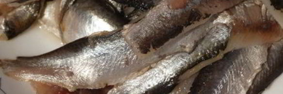 винегрет с килькой