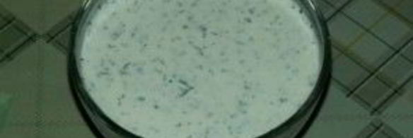 сметанно-чесночный соус