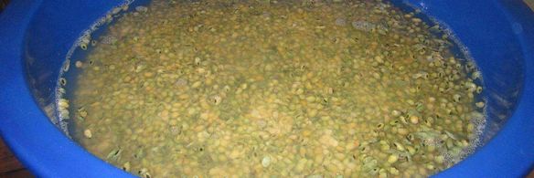 соевая паста тяй