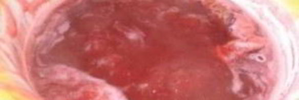 соус из красной смородины