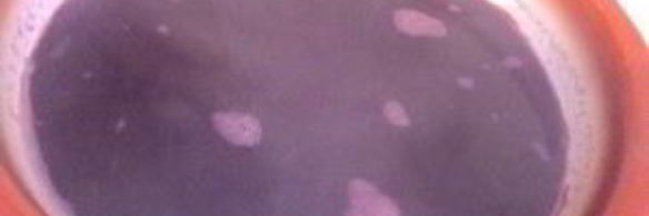 соус наршараб