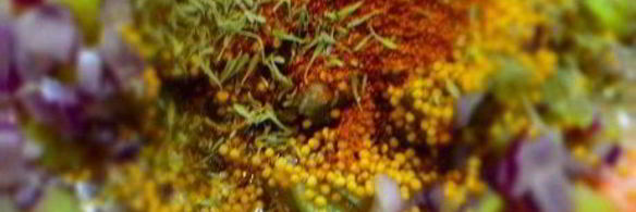 томатный соус лечо