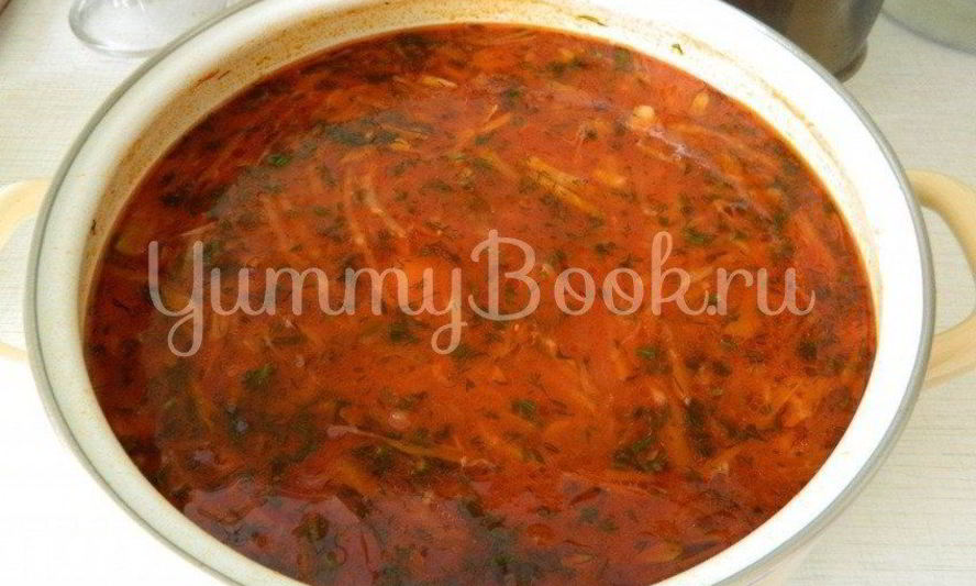 Рецепт борща на птичьем бульоне