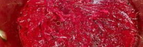 борщ сибирский