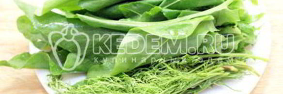 борщ со щавелем