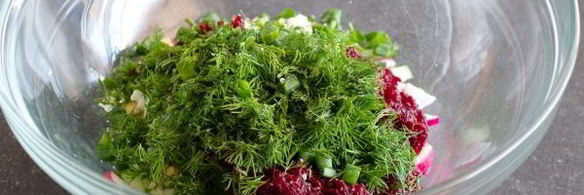 литовский холодный борщ