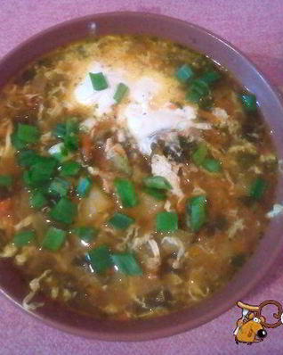 Терский борщ с щавелем