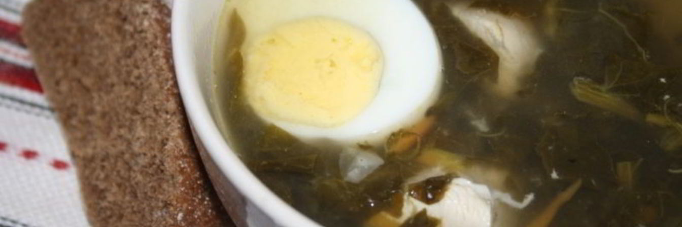 Зеленый борщ с конским щавелем на куриных грудках