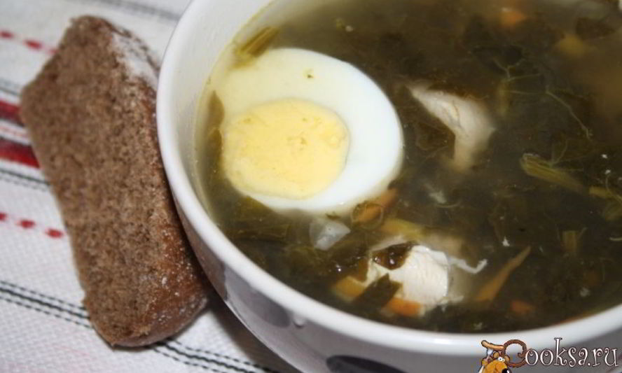 Рецепт зеленого борща с конским щавелем на куриных грудках