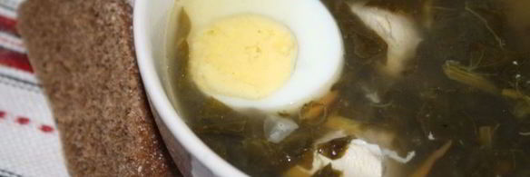 зеленый борщ с конским щавелем на куриных грудках