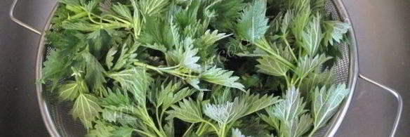 зеленый борщ с крапивой