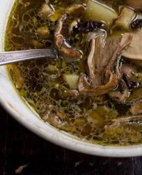 Быстрый грибной суп