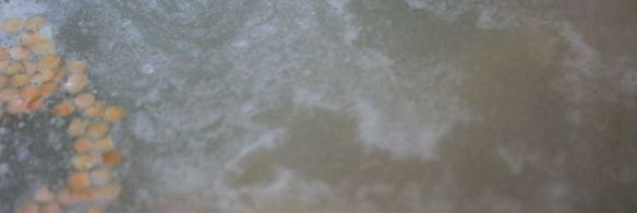 куриный суп с зеленым горохом и чечевицей бобовый дуэт