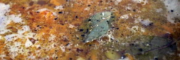 куриный суп с зеленым горохом и чечевицей бобовый дуэт