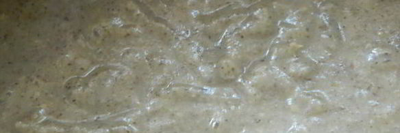 крем-суп шампиньон всему голова