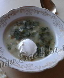 Щи из крапивы