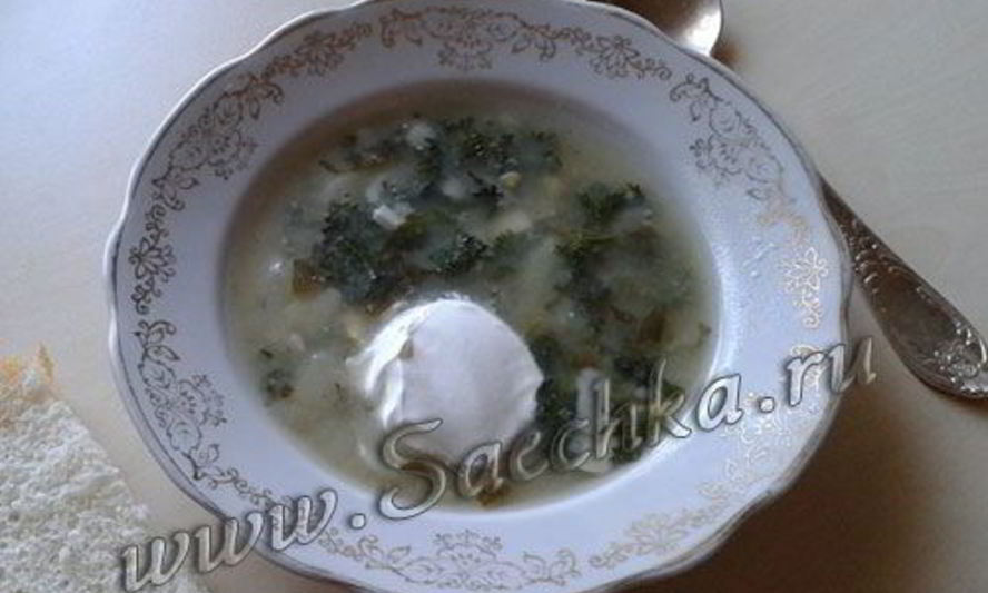 Рецепт щей из крапивы