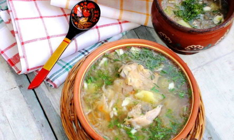 Рецепт щей из квашеной капусты в мультиварке