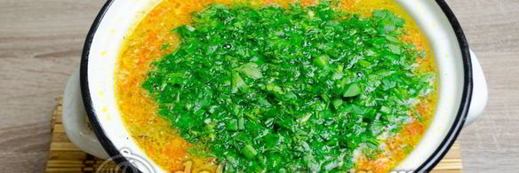 щи из свежей капусты