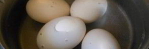 щи со щавелем