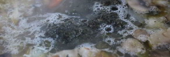 щи со шпинатом и шампиньонами