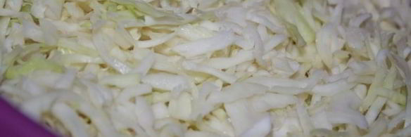 щи со свежей капустой и свиной грудинкой