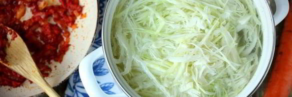 щи со свининой