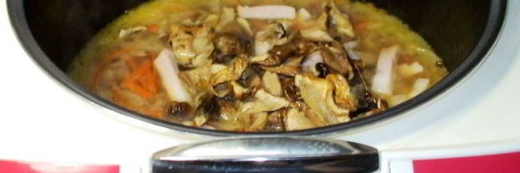 шаляпинские щи