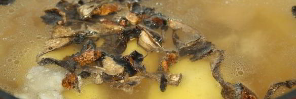 суточные щи со свининой и сушеными грибами на квашеной капусте