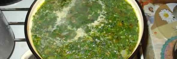 зеленые щи
