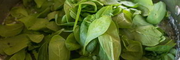 сливочный суп с курицей и шпинатом