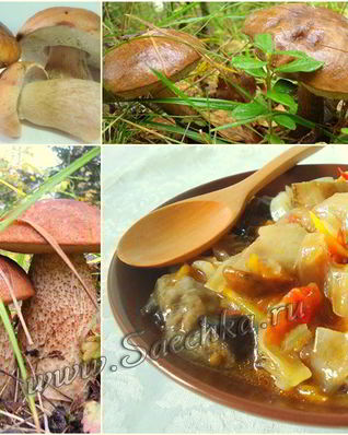 Грибная солянка