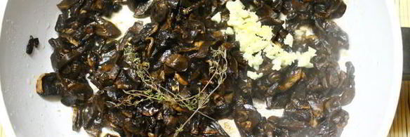 капустная солянка с грибами