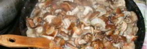 солянка из опят с капустой